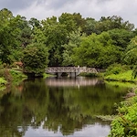 Image of Premier Cadbury (1)