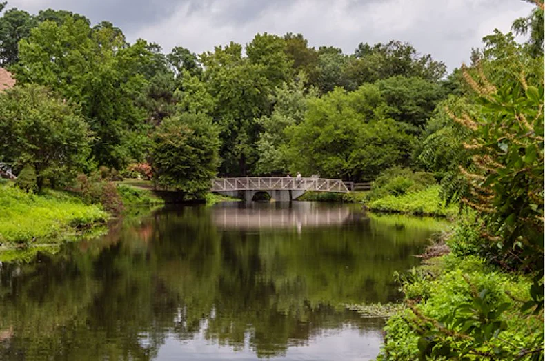 Image of Premier Cadbury (1)