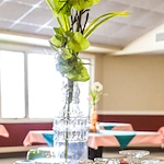 Image of Signature Healthcare Of Hart County Rehab & Wellne (6)