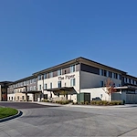 Image of The Piper (1)