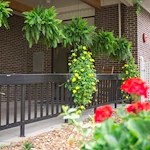 Image of Standing Stone Care And Rehab (6)