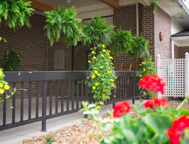 Image of Standing Stone Care And Rehab (6)