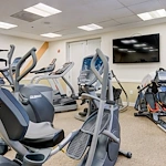 Image of Buckingham's Choice (2)