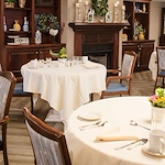 Image of Viva at Stafford (3)