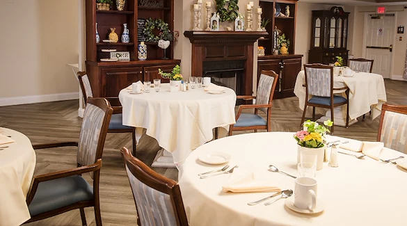 Image of Viva at Stafford (3)