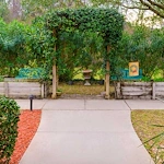 Image of Cherry Laurel - Sky Active Living (9)