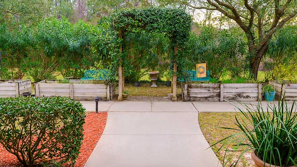 Image of Cherry Laurel - Sky Active Living (9)