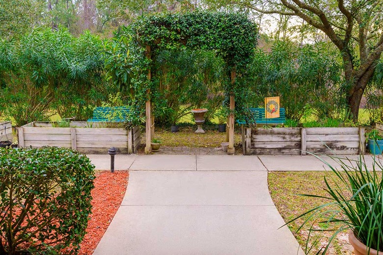 Image of Cherry Laurel - Sky Active Living (9)