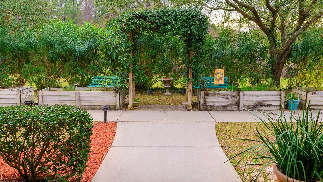 Image of Cherry Laurel - Sky Active Living (9)