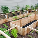 Image of Cottages at Indian Creek (5)