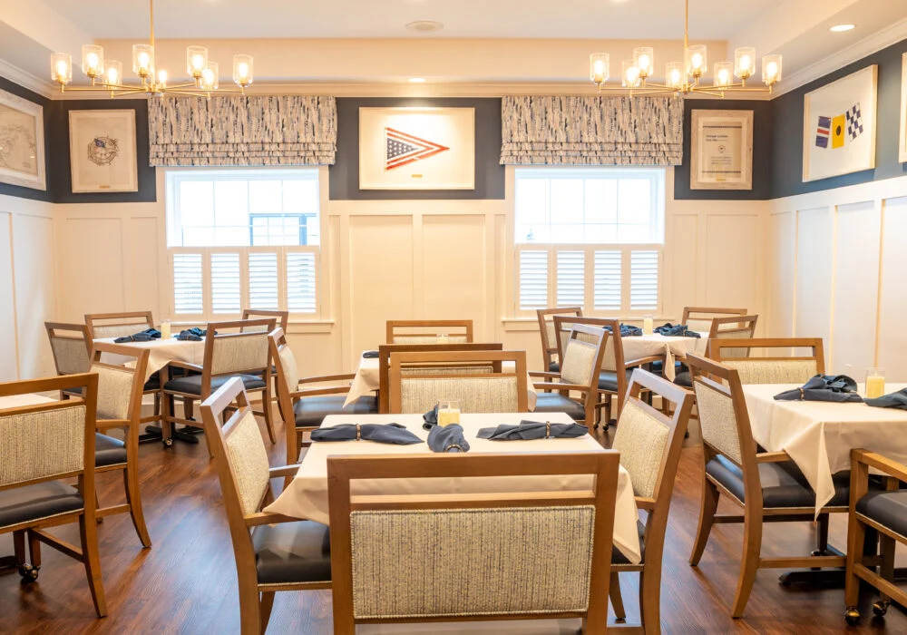 Image of Azalea of Cinnaminson (3)