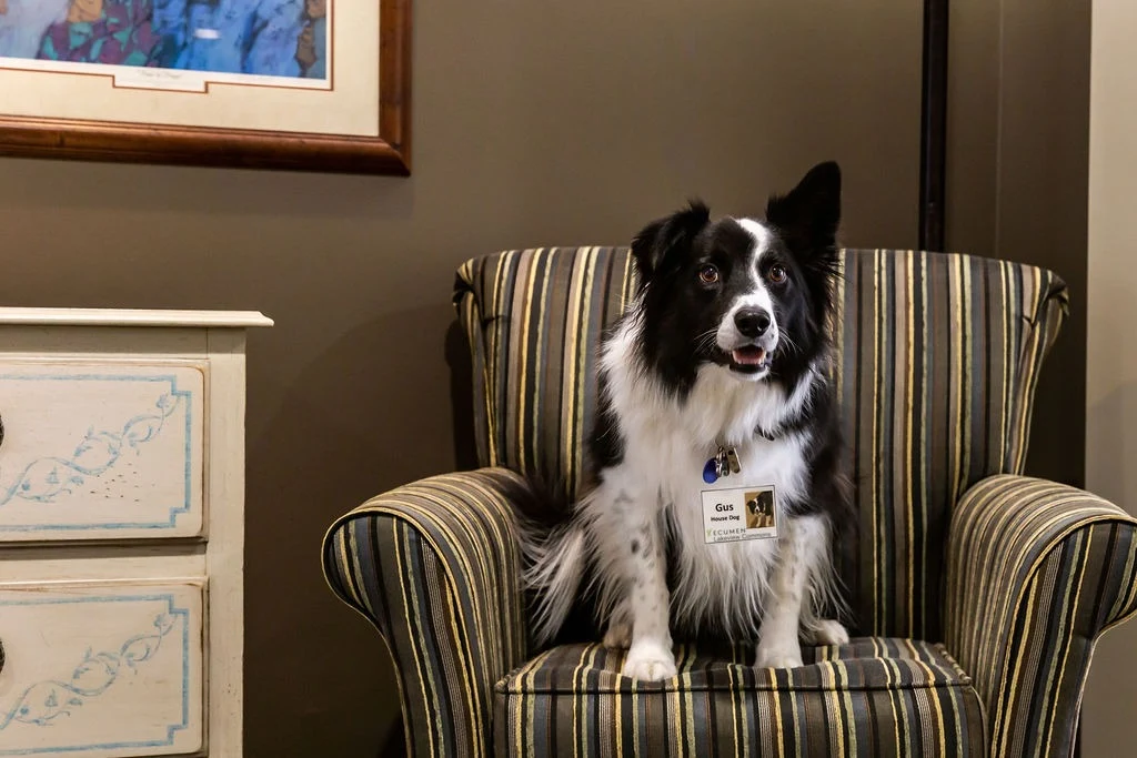 Image of Ecumen Lakeview Commons (5)