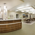 Image of Trellis Paradise (3)