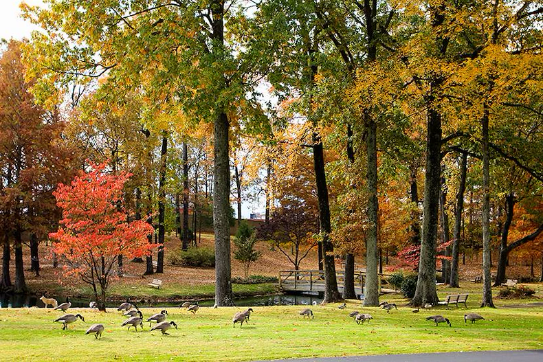 Image of Kirby Pines Manor Senior Living (6)