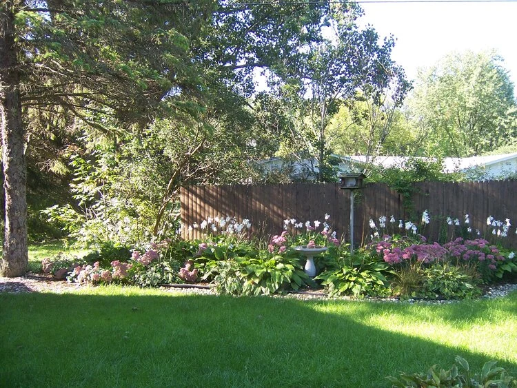 Image of Butternut Tree Assisted Living (2)