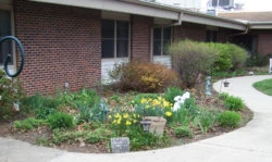 Image of Spurgeon Manor (5)