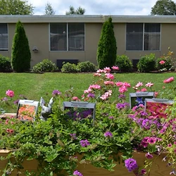 Image of Sevierville Health & Rehabilitation Center (4)