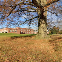 Image of Wallingford Skilled Nursing and Rehab (1)