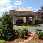 Image of Somerset Gardens by Chelsea (1)