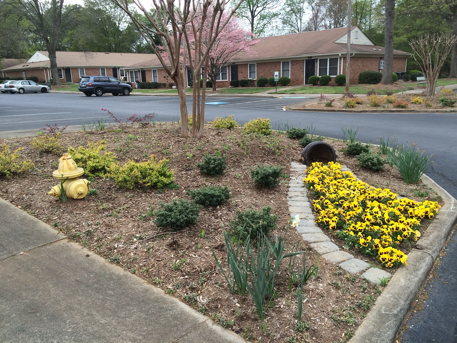 Image of Miller Oaks Apartments (2)