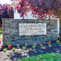 Image of Clearwater Springs by Cogir (3)