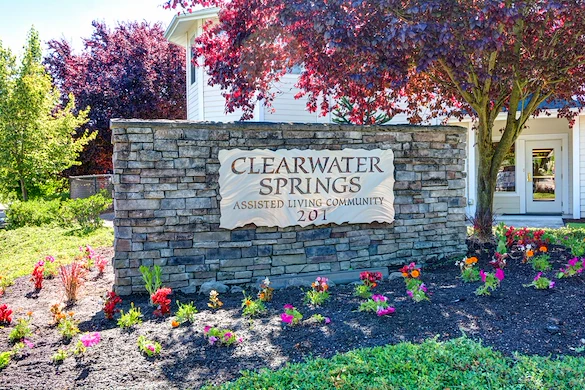 Image of Clearwater Springs by Cogir (3)