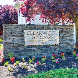 Image of Clearwater Springs by Cogir (3)