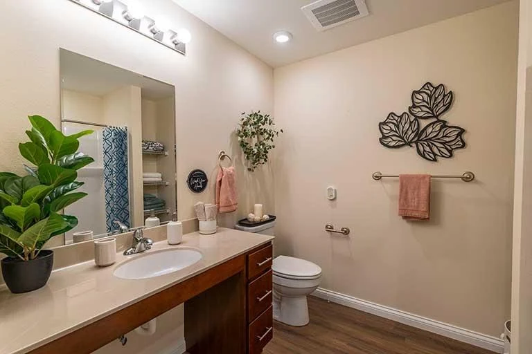 Image of The Carriages of Decatur (10)