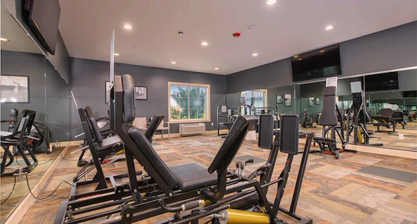 Image of The Park at Laguna Springs (3)