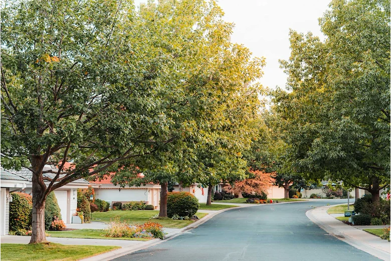 Image of The Forest Estates South Hill (3)
