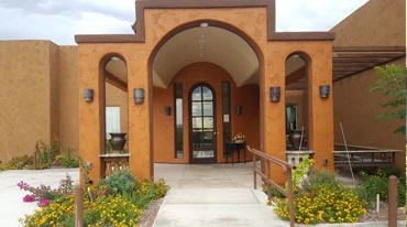 Image of Pepper Tree (2)