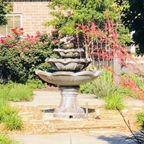 Image of Cibolo Creek (3)