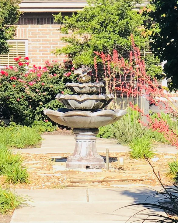 Image of Cibolo Creek (3)