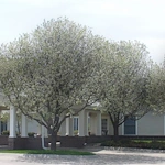 Image of Prairie Village Retirement Center (1)