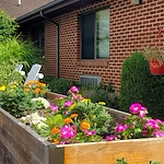 Image of Bluestone Health And Rehabilitation (1)