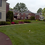 Image of Pewter Village at Collingswood (5)