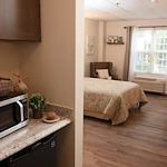 Image of Viva at Stafford (5)