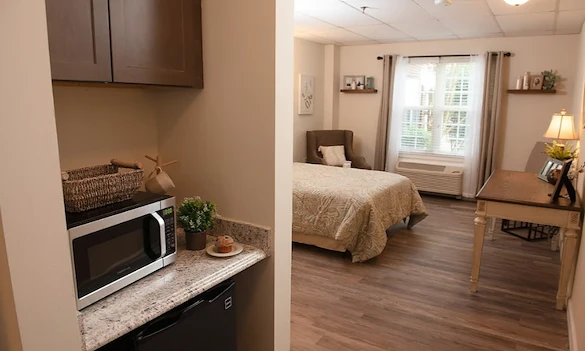 Image of Viva at Stafford (5)