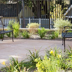 Image of Willows of Ramsey Hill Memory Care (2)