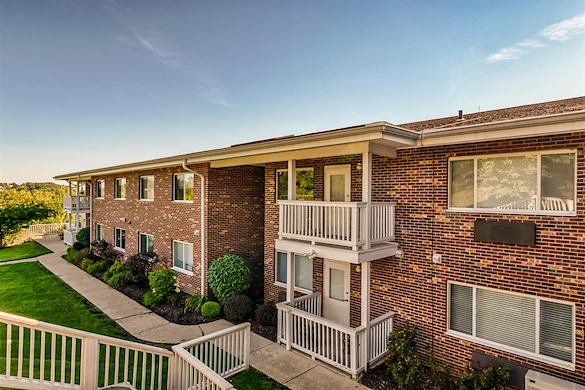 Image of Autumn View Gardens (9)