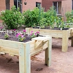 Image of Ecumen St. Benedict’s Community — St. Cloud (10)