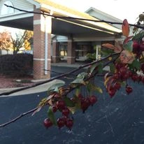 Image of Davenport Lutheran Home - Assisted Living (3)
