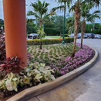 Image of The Woodlands at John Knox Village (3)