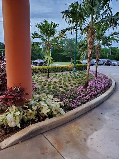 Image of The Woodlands at John Knox Village (3)