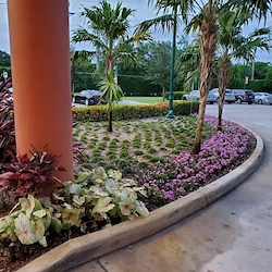Image of The Woodlands at John Knox Village (3)