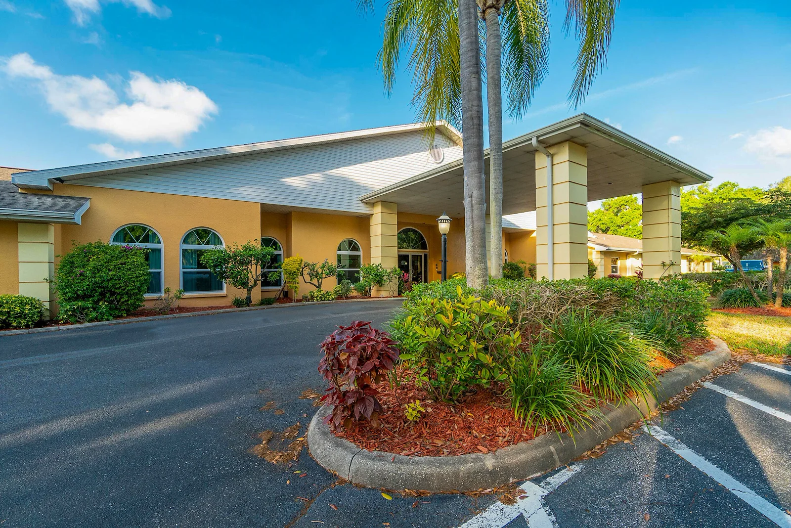 Image of North Port Pines (1)