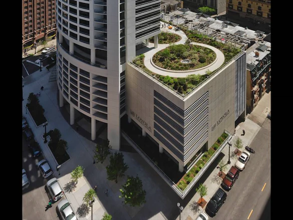 Image of The Clare (4)