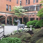 Image of The Mews (2)