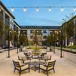 Image of Everleigh Forestwood (8)