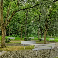 Image of Shirley Futch Plaza (3)